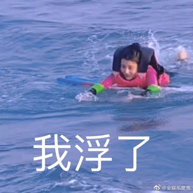 小鸡要回家